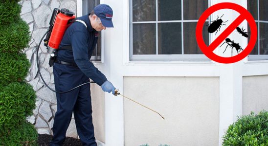 Gevaş Kemirgen İlaçlama böcek ilaçlama ve haşere kontrolü — ilaclama-tr.com